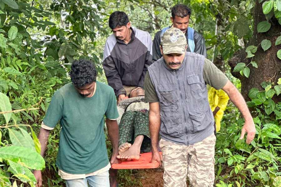 জখমকে উদ্ধার করে আনছেন ওয়েনাড়ের কালপেট্টা রেঞ্জের বন্যাধিকারিকেরা।