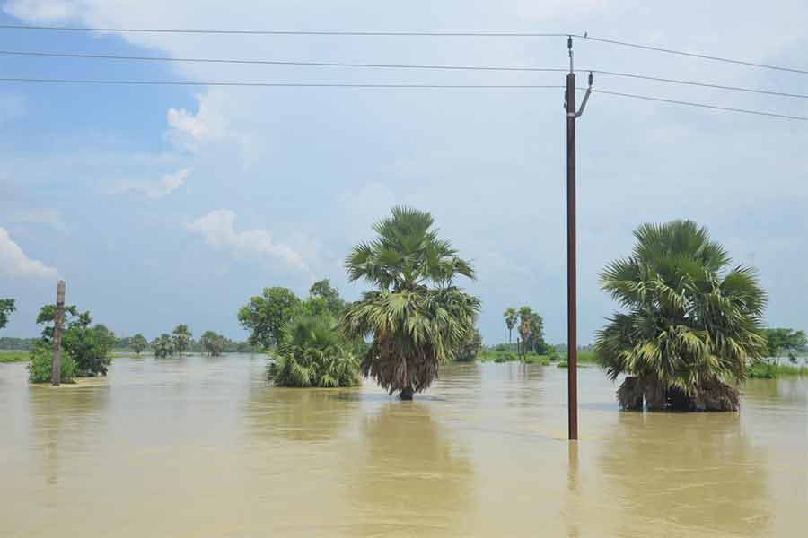 কাটোয়ায় ব্রহ্মাণী নদীর জল ভাসছে চাষজমি।