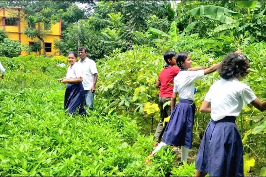 আনাজ বাগানে কাজে হাত লাগিয়েছে পড়ুয়ারা।