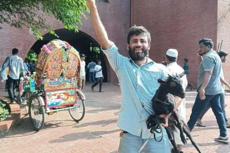 Under garments to goats, what Bangladeshi protesters took away from former PM Sheikh Hasina’s residence Ganabhaban