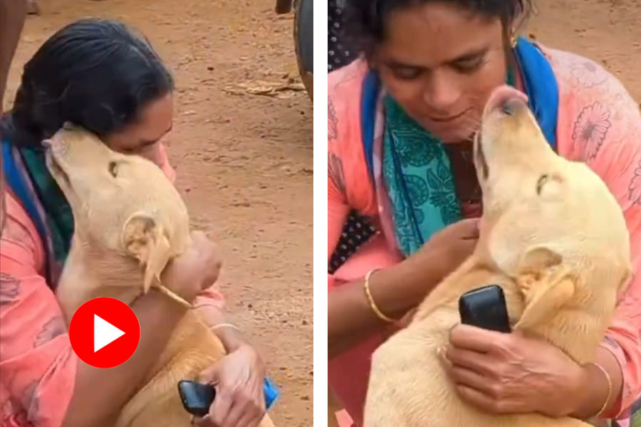 Viral Video of owner and pet dog share heartwarming reunion in Wayanad after 6 days