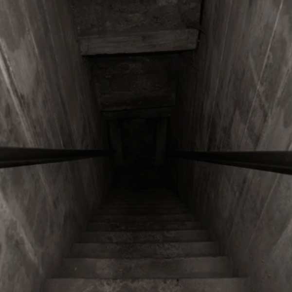 Couple discovers a small room in the backyard after buying new home in New Mexico