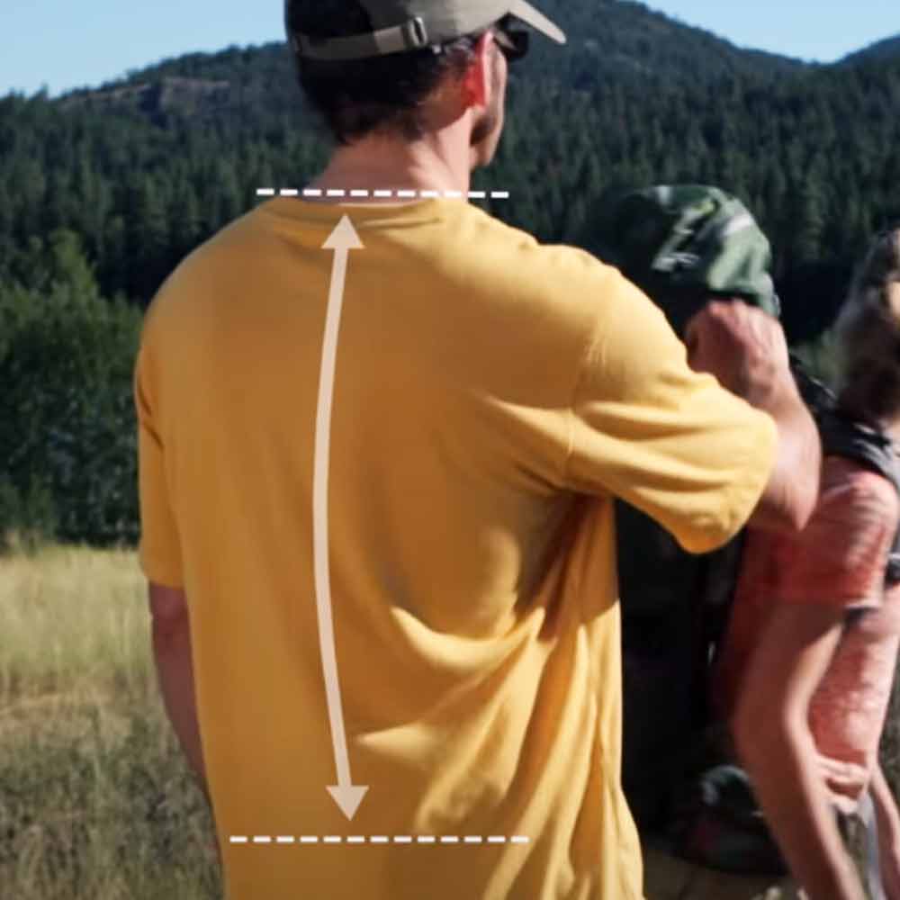 উপরের ছবিতে দেখা যাচ্ছে ‘টরসো লেন্থ’ কতটা হয়।