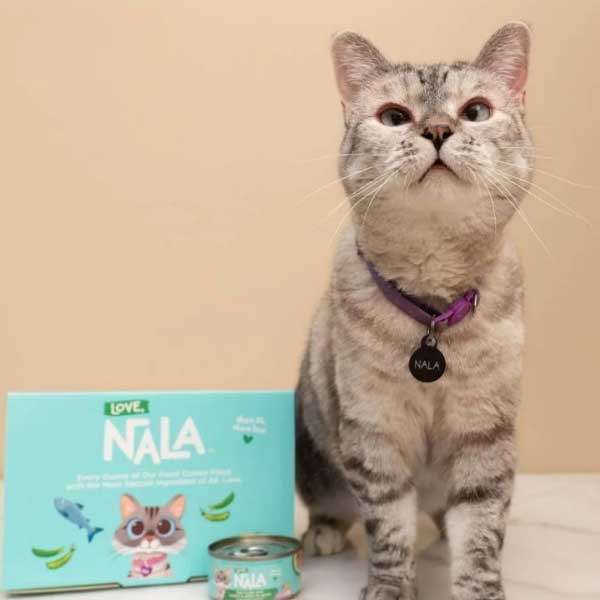 Meet world’s richest cat Nala with 770 crore rupees net worth, makes Guinness world record