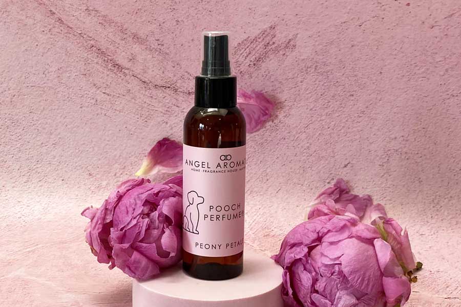 Luxurious dog perfume priced 9000 rupees, launched by Italian brand 