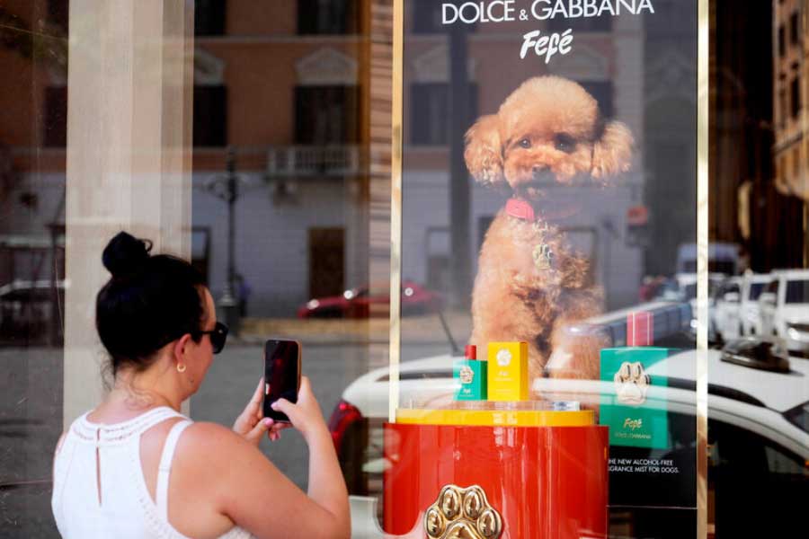 Luxurious dog perfume priced 9000 rupees, launched by Italian brand 