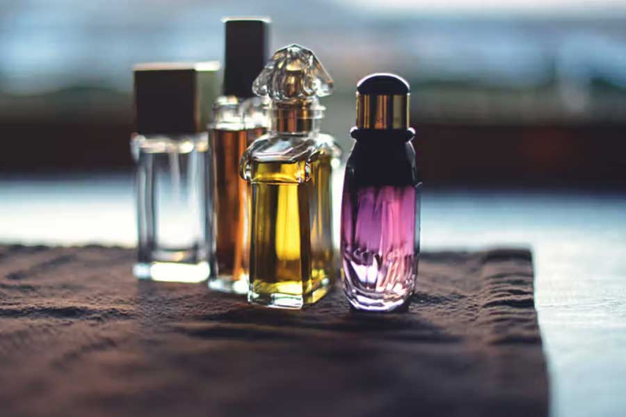Luxurious dog perfume priced 9000 rupees, launched by Italian brand 