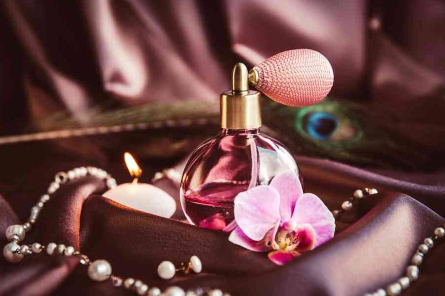 Luxurious dog perfume priced 9000 rupees, launched by Italian brand 