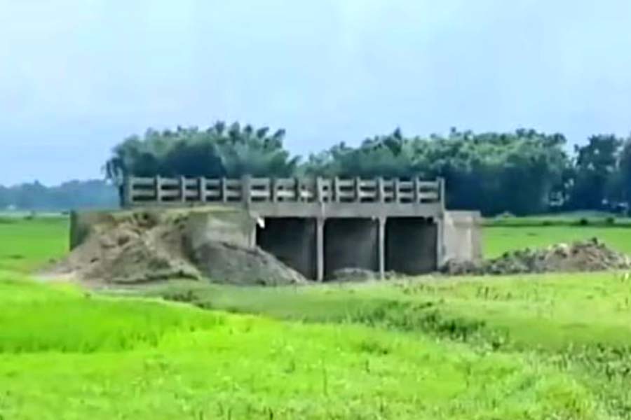 Viral photo of Bihar Bridge made in open field but no road is constructed