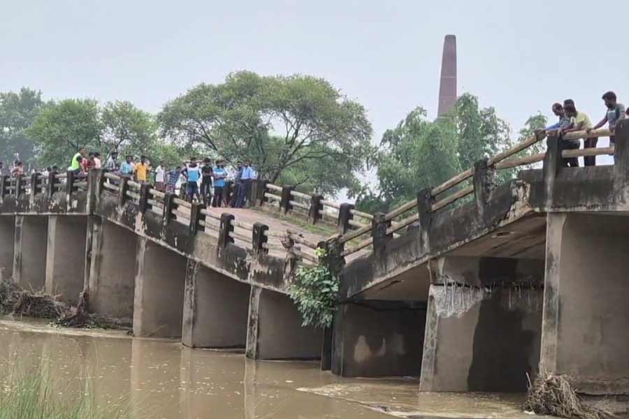 Bridge Collapse