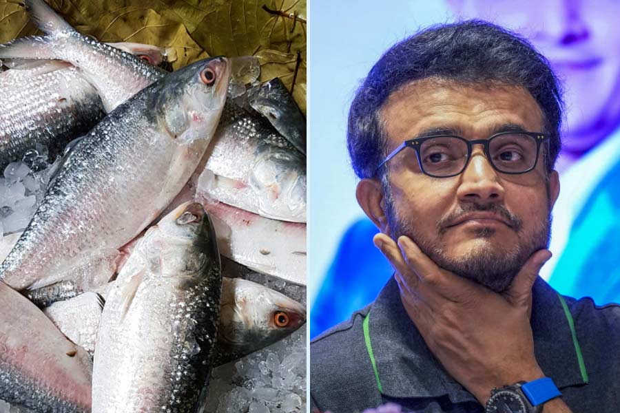 Sourav Ganguly says he is hopeful about export of hilsa from Bangladesh dgtl