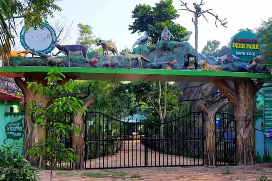 গড়চুমুক ডিয়ার পার্ক।