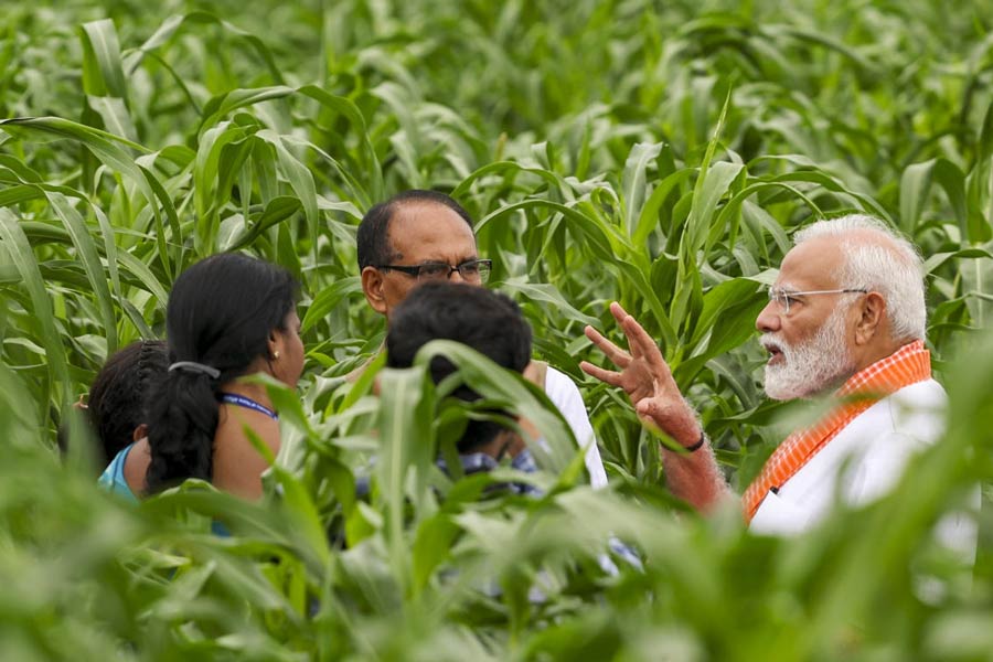 বীজ প্রকাশ অনুষ্ঠানে প্রধানমন্ত্রী রবিবার আইসিএআর-এ।