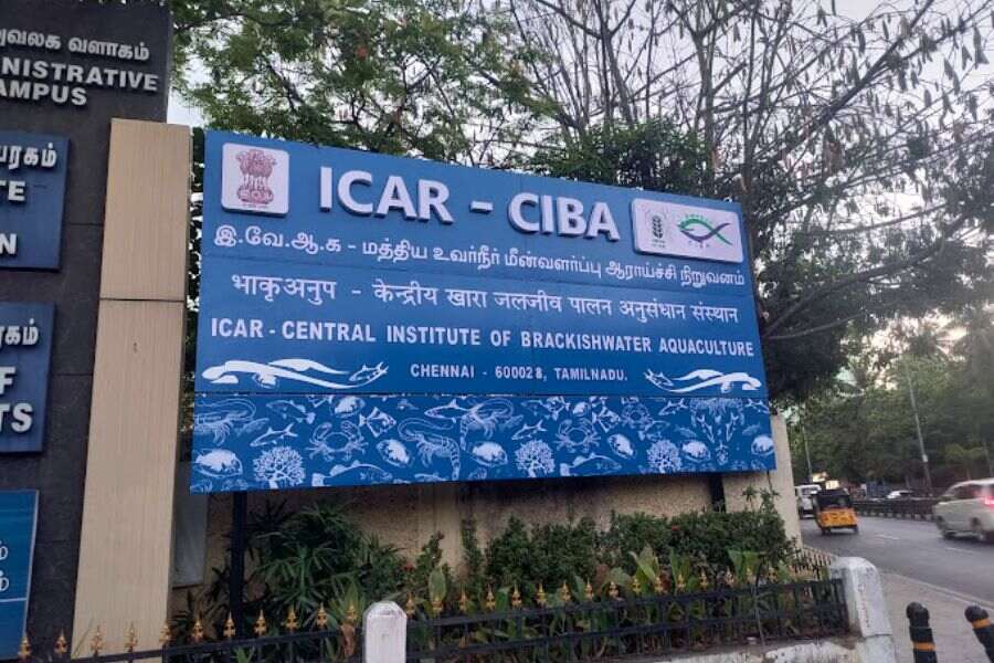 ICAR - Central Institute of Brackishwater Aquaculture.