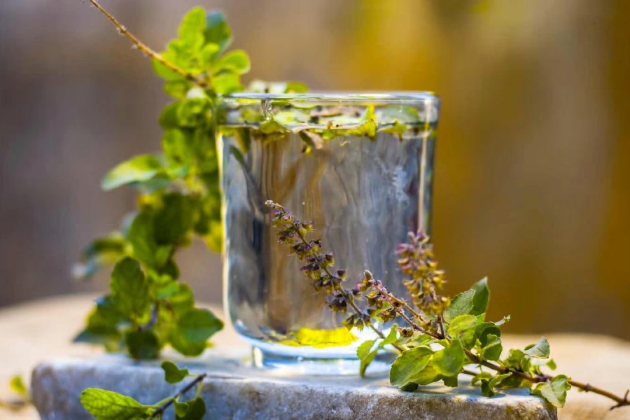 why tulsi water is beneficial for health