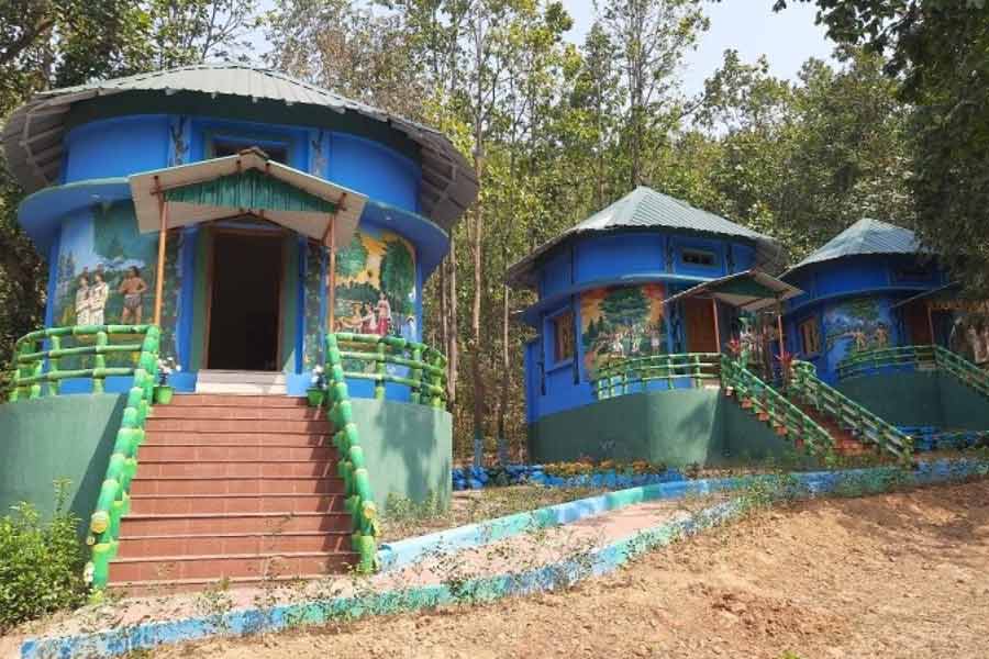 শালের জঙ্গল ঘেরা দুয়ারসিনির রূপ অপূর্ব।