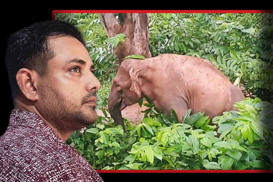 Director Tathagata Mukherjee slams state forest department for the pregnant elephant case in Jhargram