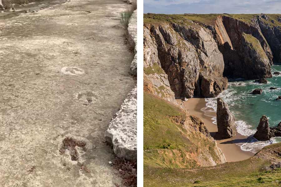 10 year old girl discovers dinosaur footprints walking on sea beach