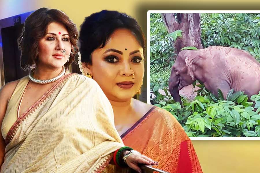 Swastika Mukherjee and Sreelekha Mitra condemns the elephant incident in Jhargram