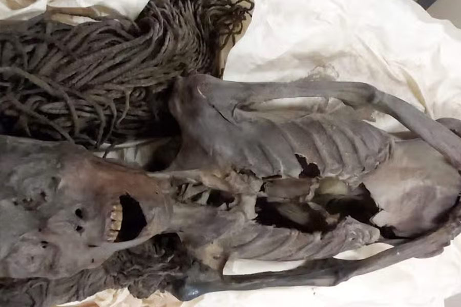 Mystery of Egyptian screaming mummy solved in recent studies 