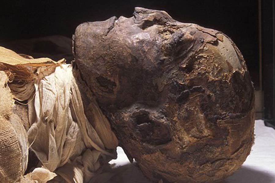 Mystery of Egyptian screaming mummy solved in recent studies 