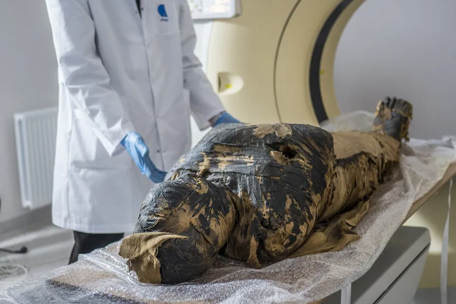 Mystery of Egyptian screaming mummy solved in recent studies 