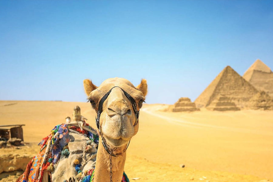 Mystery of Egyptian screaming mummy solved in recent studies 