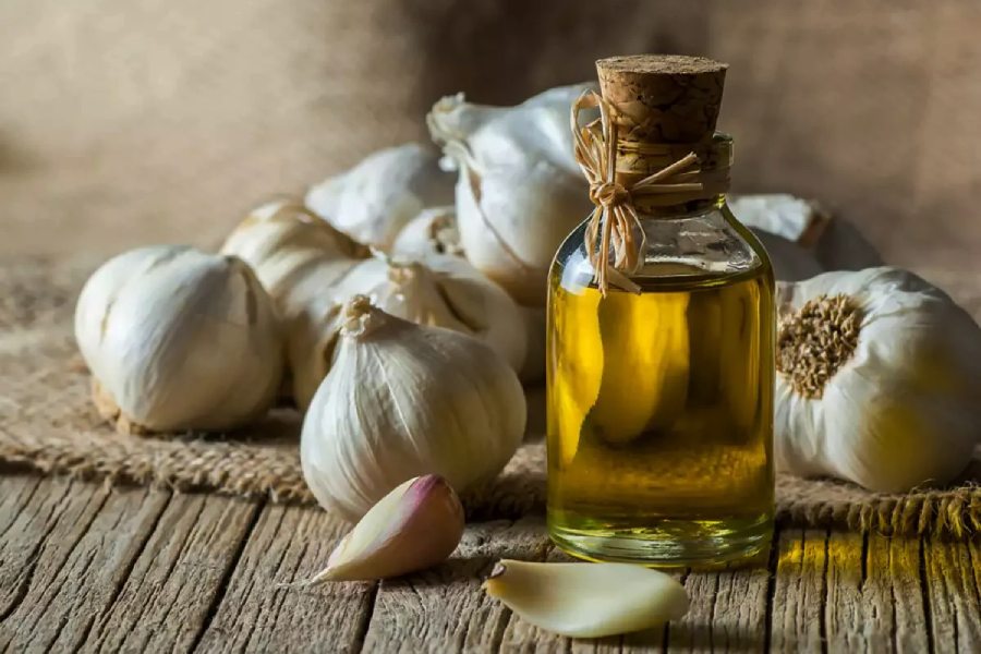 Know health benefits of consuming garlic oil without smelling bad