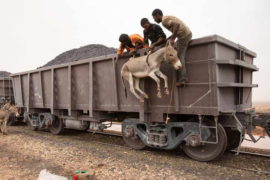 World's longest train runs in the Sahara Desert of Mauritania with 200 compartments
