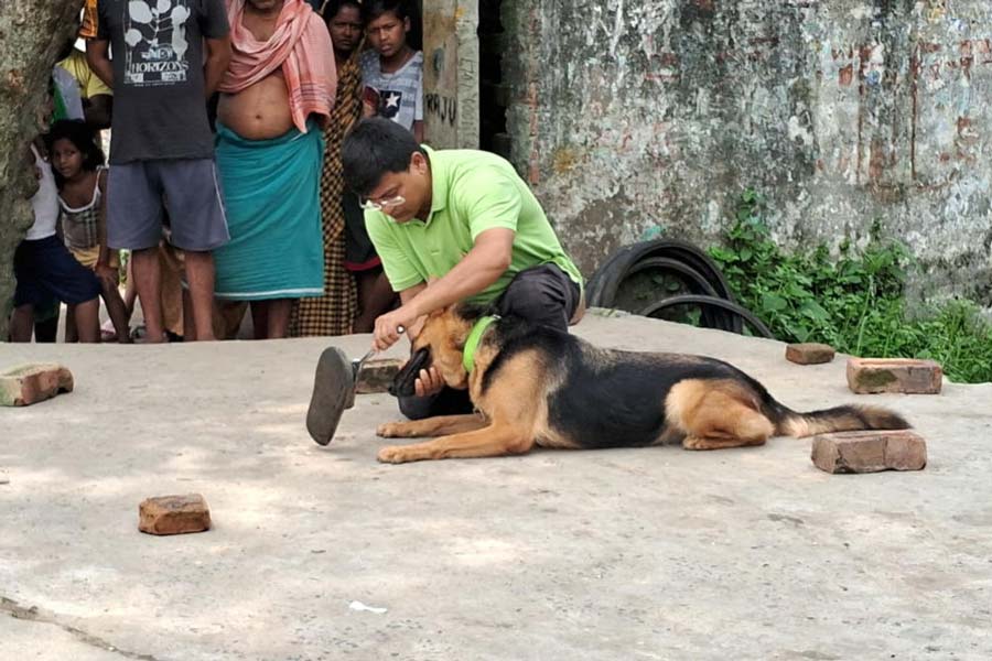 ঘটনাস্থলে পুলিশ কুকুর।