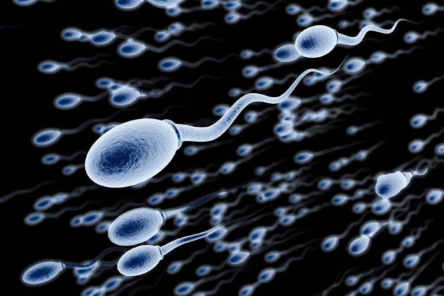 Exported sperm from UK can create large numbers of children worldwide