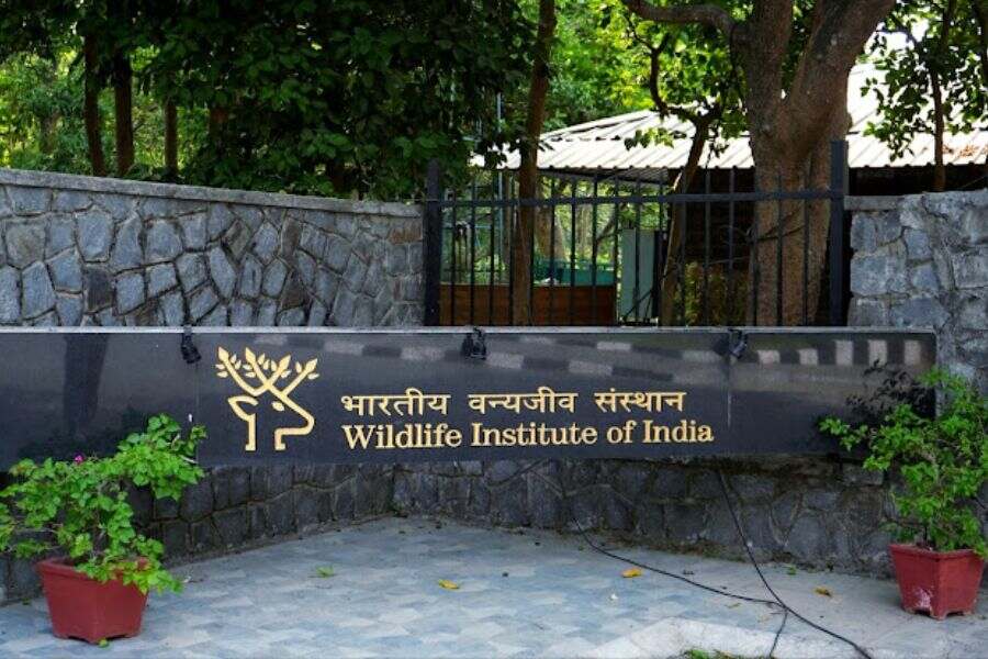 Wildlife Institute of India.