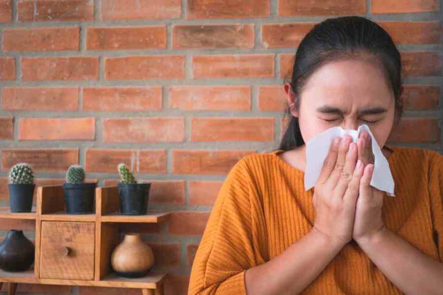 Home remedies to stop sneezing