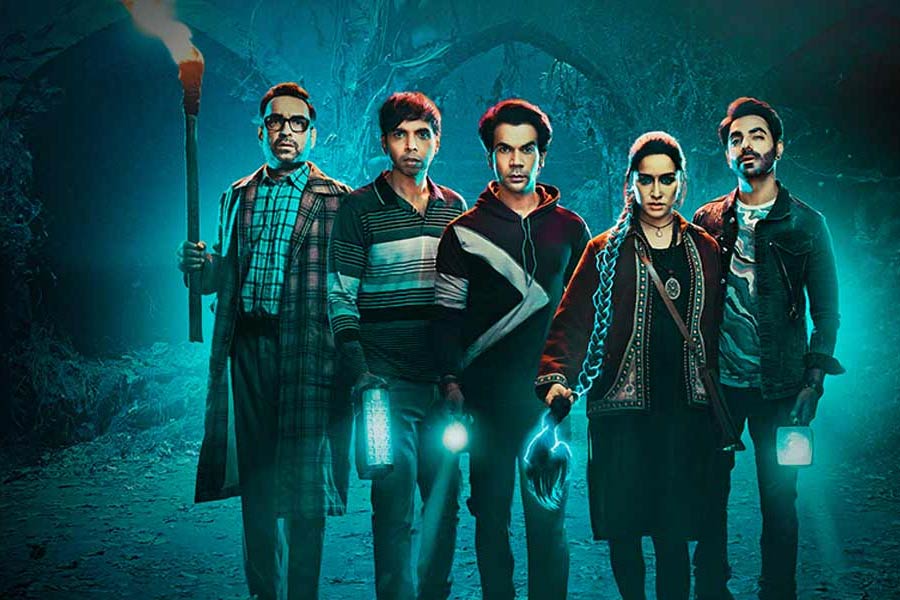Meet Bhumi Rajgor, actress who played the role of Stree in Stree 2, replaced Flora Saini