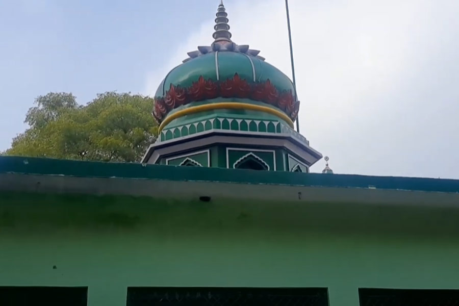 Lions are believed to clean the premises at the mysterious shrine in UP's Etawah