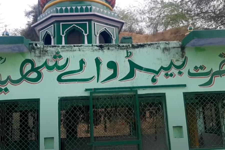 Lions are believed to clean the premises at the mysterious shrine in UP's Etawah