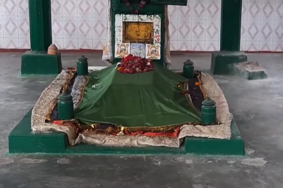 Lions are believed to clean the premises at the mysterious shrine in UP's Etawah