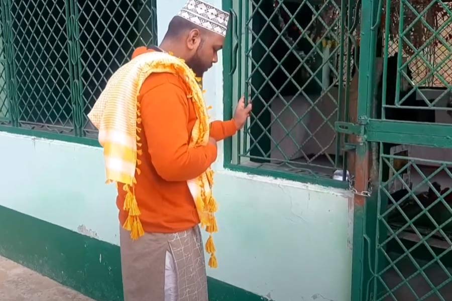 Lions are believed to clean the premises at the mysterious shrine in UP's Etawah