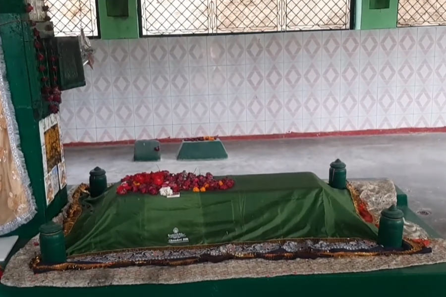 Lions are believed to clean the premises at the mysterious shrine in UP's Etawah