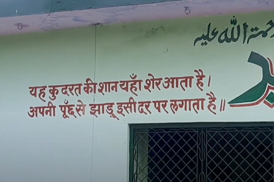 Lions are believed to clean the premises at the mysterious shrine in UP's Etawah