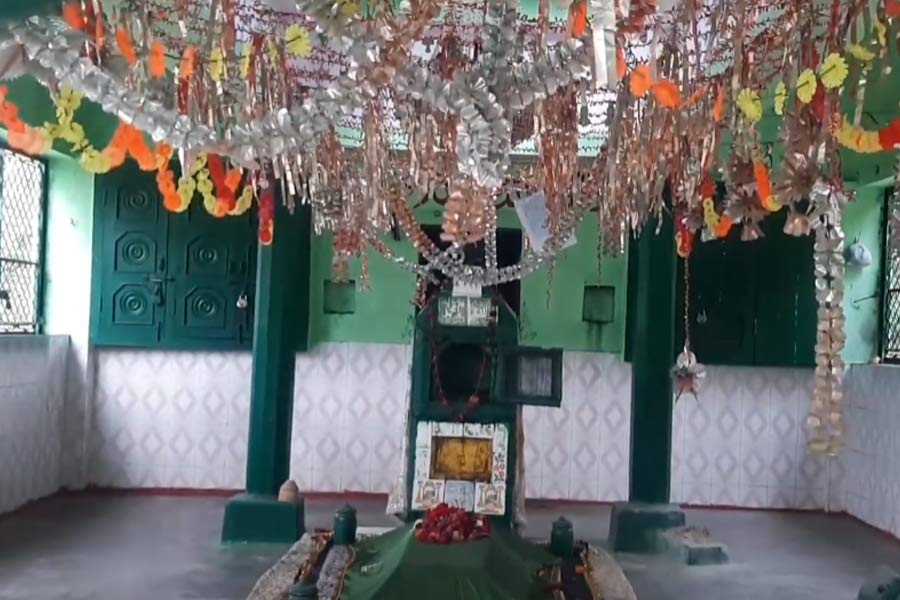 Lions are believed to clean the premises at the mysterious shrine in UP's Etawah