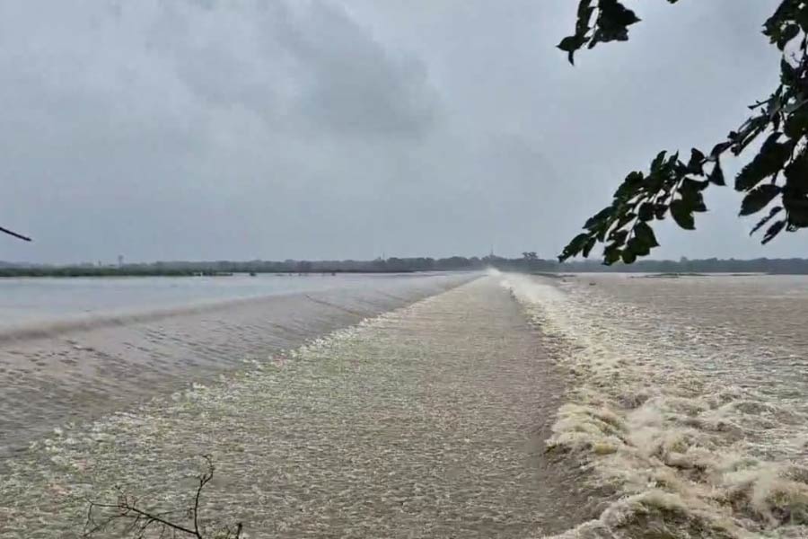 দামোদর নদের রণডিহা বাঁধ। নিজস্ব চিত্র।