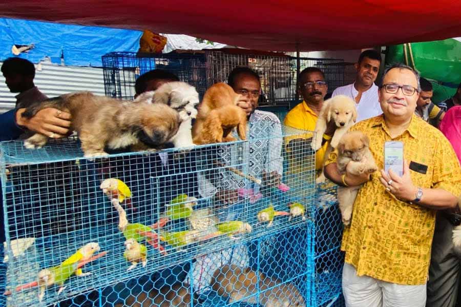 Kunal Ghosh inaugurated kolkatas pet market website