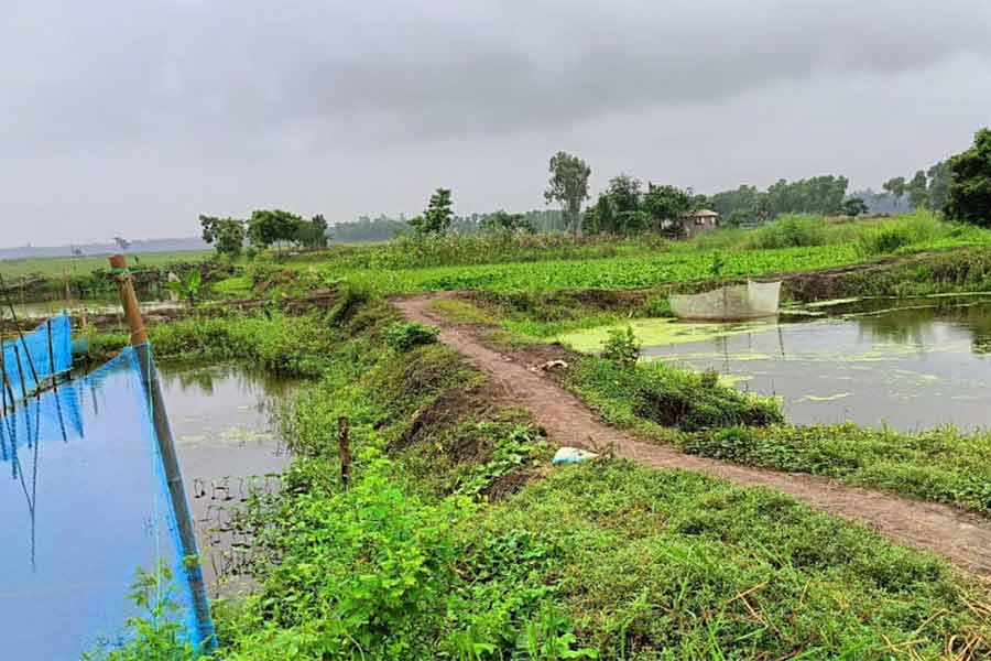 farmlands getting destroyed as several enbankments were build by blocking free flow of canals at Midnapore
