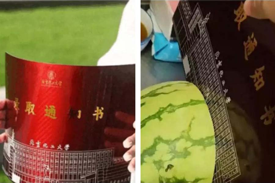 Students of China use their admission letter as cutting tool