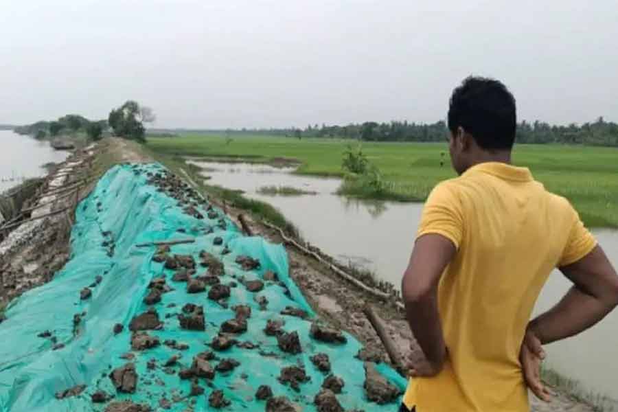 নামখানায় ত্রিপল ঢেকে বাঁধ রক্ষার চেষ্টা গ্রামবাসীদের।