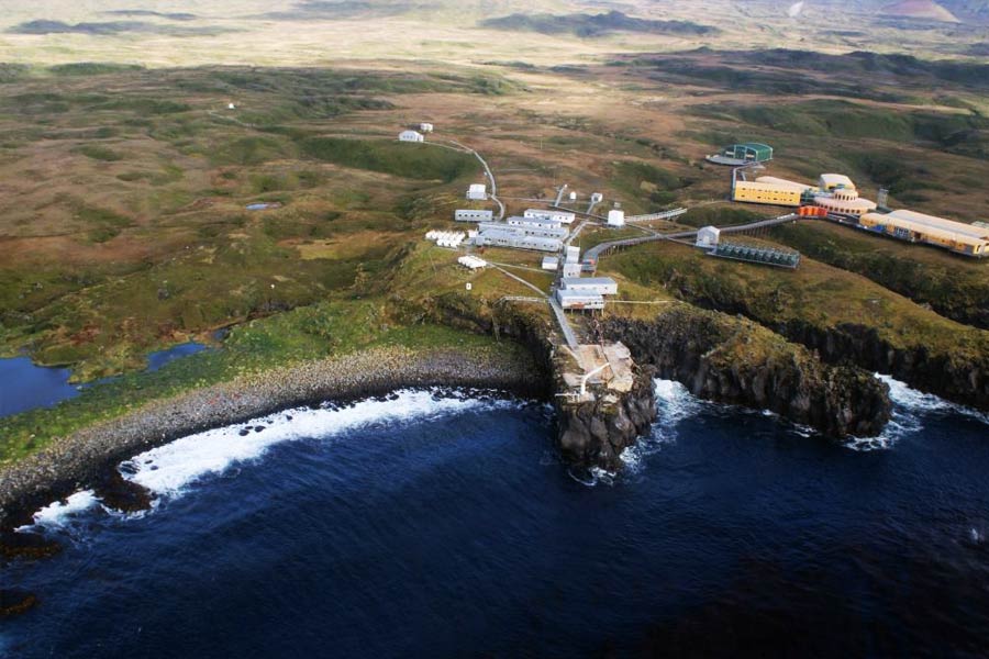 South Africa to kill invasive mice that are eating albatrosses alive in Marion Island