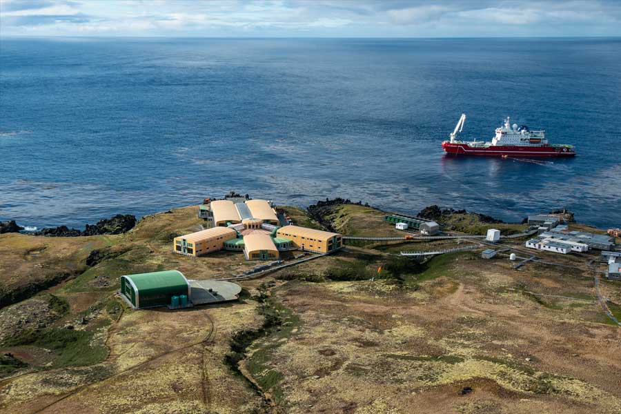 South Africa to kill invasive mice that are eating albatrosses alive in Marion Island