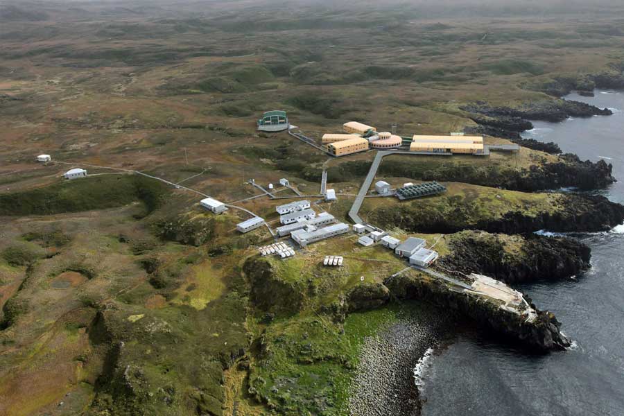 South Africa to kill invasive mice that are eating albatrosses alive in Marion Island