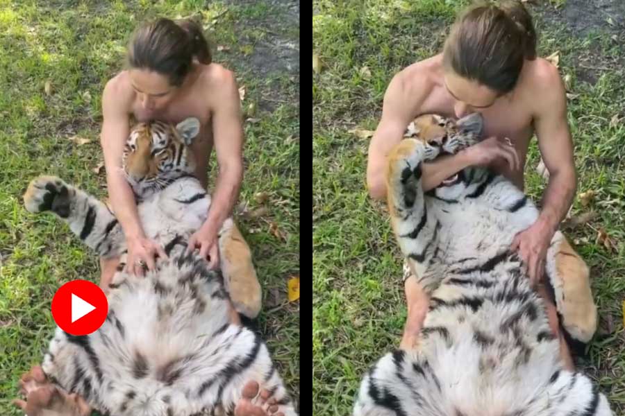 Man fearlessly rubs giant tiger\\\\\\\\\\\\\\\\\\\\\\\\\\\\\\\'s belly